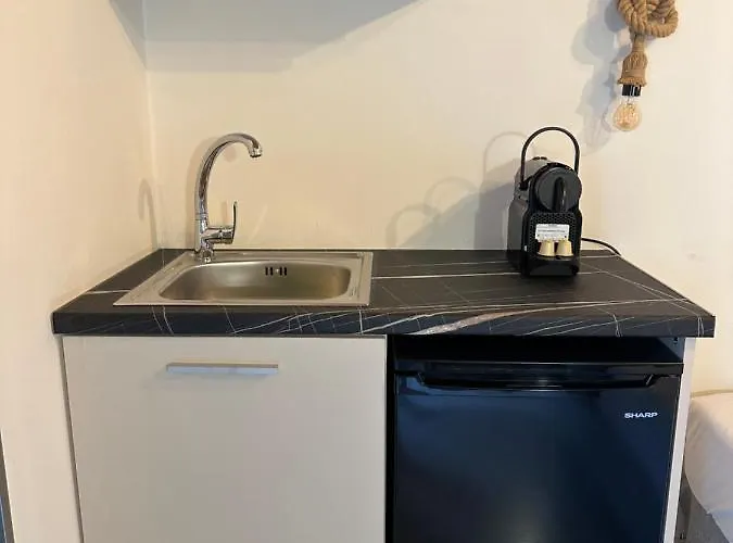 Lägenhetshotell μούσες